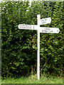 TM2291 : Roadsign on Low Road by Geographer