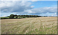 Stubble field near Witton Gilbert