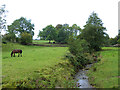 Hazelrigg Beck at Unthank