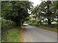 TM2291 : Low Road, Shelton by Geographer