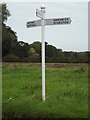 TM2290 : Roadsign on Low Road by Geographer