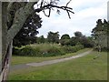 Allotments on the edge of Central Park, Plymouth