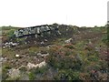 Old quarry on Mynydd Carmel