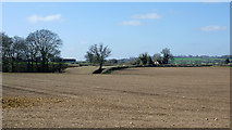 SO7596 : Fields north of Worfield, Shropshire by Roger  D Kidd