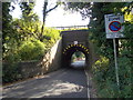 Stanmore Lane railway bridge, Winchester