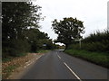 TM2584 : Redenhall Road, Lushbush, Redenhall by Geographer