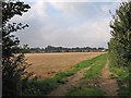 Stubble on the edge of Sawston