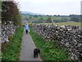 Dales Way trek from Bolton Abbey to Pinder Stile (164)