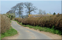 SO7597 : Lane near Cranmere north of Worfield, Shropshire by Roger  D Kidd