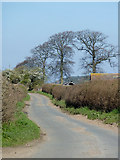 SO7597 : Lane near Cranmere north of Worfield, Shropshire by Roger  D Kidd