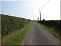 H8819 : Neatly trimmed field hedges on either side of Corliss Road by Eric Jones