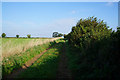 Bridleway towards Ox Close Lane