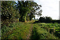 Footpath leading to Mill House