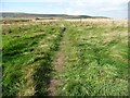 SE1540 : Path on Baildon Moor by Christine Johnstone
