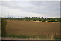 Farmland east of Sandy