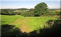 Field at St Erney