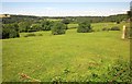 Pasture land at Markwell