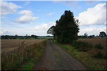 SE4564 : Rice Lane towards Myton-on-Swale by Ian S