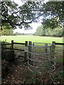 Footpath by Stafford Bridge