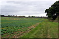 Footpath to Stafford Bridge