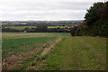 Bridleway to the Bedford Road by the Long Spinney