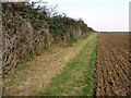 Field path near Nettleham