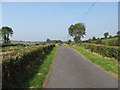 H8620 : View north-westwards along Lough Clare Road by Eric Jones