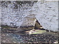 SZ0582 : Natural arch, Old Harry Rocks by N Chadwick