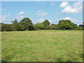 Footpath near Oldlands Copse