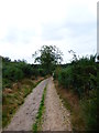 Bridleway heads towards parking area