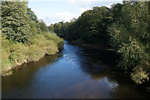 SE3967 : The River Ure from Borough Bridge, Boroughbridge by Ian S