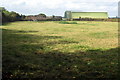 Cattle field in the shadow of the hangars