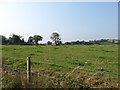 H8619 : Farmland south west of Tullyraghan Cross Roads by Eric Jones
