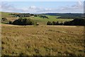 SH9357 : Upland grazing around Tan-y-graig by Philip Halling