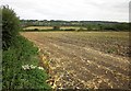 Harvested field near Kingrove