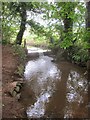 Weir in the stream above Paradise farm house