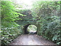 Lane passing under the Hollinwood Branch Canal