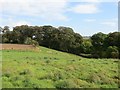 Field opposite Tarry Mill