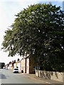 On Main Street, Tickton