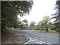 Ockham Road North at the junction of East Lane