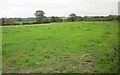 Field by Dodington Lane