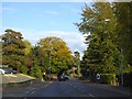 Autumn colour in Preston Road, Yeovil