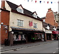 Tara and Aristocats in Bridgnorth