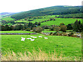 T1393 : Side valley off Clara Glen by Oliver Dixon