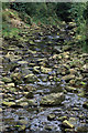 Eller Beck, Beck Hole, upstream view