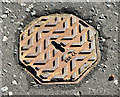 J4273 : Octagonal access cover, Dundonald by Albert Bridge