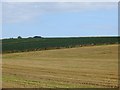 Arable land near Bryanton