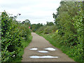 Thames Path, Thamesmead