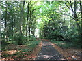 Driveway to Kilnwick Percy Hall