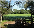 Pookridge Pasture